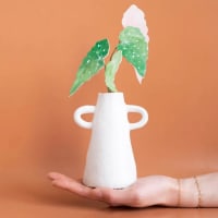 Sip & Sculpt Pottery Class — 6/4 (Boston MA) thumbnail
