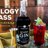 Spring Cocktails Mixology Class thumbnail