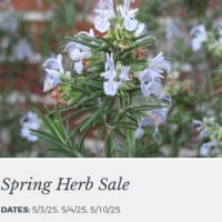 Spring Herb Sale @ Lyman Estate Greenhouses thumbnail