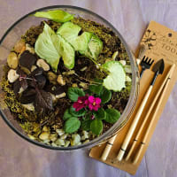 Glass Gardens: A Terrarium Workshop thumbnail
