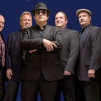 Moondance – Van Morrison Tribute  thumbnail