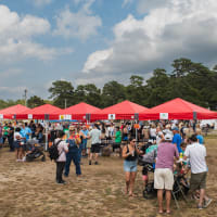 13th Annual Cape Cod Food Truck & Craft Beer Festival thumbnail