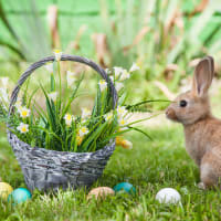 Easter Weekend thumbnail
