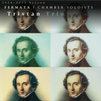Fermata Chamber Soloists: Tristan Trio thumbnail