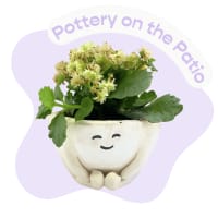 Pottery on the Patio — 5/15 (Cambridge MA) thumbnail