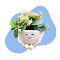Make Your Own Planter or Vase Pottery Class — 5/31 (Boston MA) thumbnail