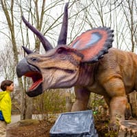 Return of the Dinosaurs: Sensory-Friendly Mornings thumbnail