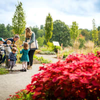 Explore The New England Botanic Garden at Tower Hill from Boston thumbnail