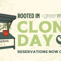 Clone Day at Rooted In May 17 | Grow your own Plant thumbnail