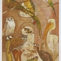 Annemarie Petri: Rara Avis thumbnail