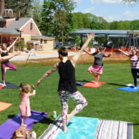 Backyard and Beyond: Outdoor Yoga at Discovery Museum thumbnail