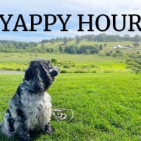 Yappy  Hour thumbnail