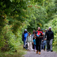 Morning Healing Nature Walk with Judith Foster thumbnail