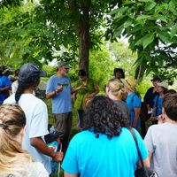 Wild Edibles: Foraging Walk with Russ Cohen thumbnail