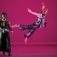 David Dorfman Dance "truce songs" thumbnail