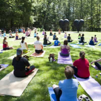 Art of Presence: Yoga at deCordova thumbnail