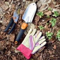 Work in the Spring Garden thumbnail