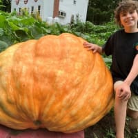 Growing GIANT Pumpkins thumbnail