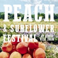  Peach & Sunflower Festival - August 9-10 & 16-17 thumbnail