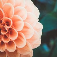 (Online) Lightroom Basics 2: Basic Tools with Boston Photography Workshops thumbnail