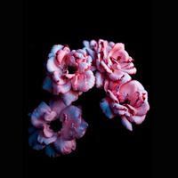 (Online) Lightroom Basics 3: Advanced Tools with Boston Photography Workshops thumbnail