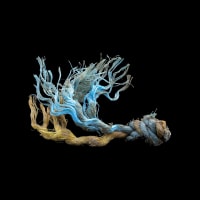 Castaway: The Afterlife of Plastic thumbnail