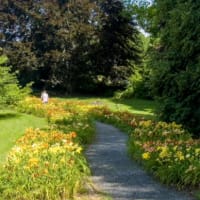 Trips & Tours: Berkshire Botanic Garden thumbnail