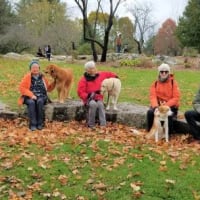 Paws & Breathe: Forest Bathing with Your Dog thumbnail