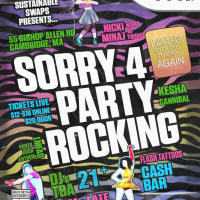 Sorry 4 Party Rocking: A 2012 Rave thumbnail
