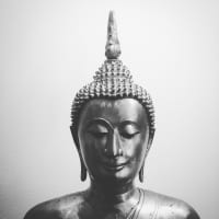 21st Century Suffering: Are the Four Noble Truths Still True? with Erika Wilton & James Wilton thumbnail