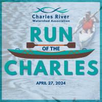 Run of the Charles RiverFest thumbnail
