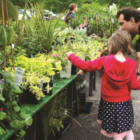 Spring Garden Emporium at New England Botanic Garden thumbnail