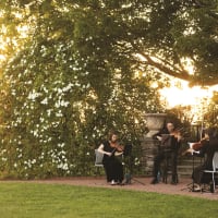 Music In Bloom at New England Botanic Garden thumbnail