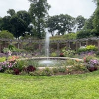Springtime Stroll at Crane Estate: Guided Nature Walk of Hidden Shores, Gardens & Trails thumbnail