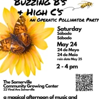 Buzzing B’s and High C’s and Operatic Pollinator Project: Opera, Art Song, Musical Theatre thumbnail