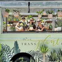 Roaming Greenhouse Pop-up at Kendall Square Farmers' Market! thumbnail