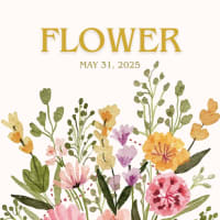 FLOWER - Presented by Team Nobody thumbnail
