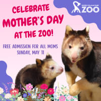 Mother's Day Free Zoo Admission thumbnail