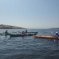 Gloucester Harbor & Annisquam River Kayak Tour From Boston thumbnail