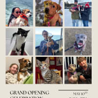 Grand Opening: City of Quincy Animal Care Center thumbnail