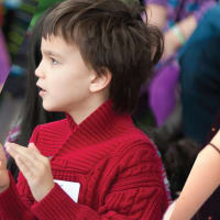 Chameleon Arts Ensemble Presents:  Music in Motion - A Free Family Concert & “Instrument Petting Zoo” thumbnail