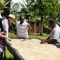 Tasting Event: Mamuto Estate with Jenny Howell thumbnail