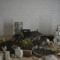 rooted in ruins Opening Reception thumbnail