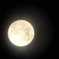 deCordova by Moonlight – Flower Moon thumbnail