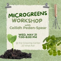 Microgreens with Ceilidh thumbnail