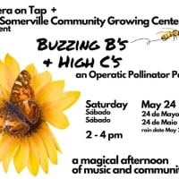 Opera on Tap: Buzzing B's and High C's thumbnail