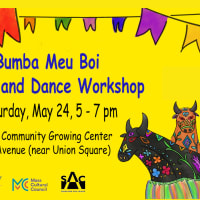 Bumba Meu Boi Dance and Music Workshop thumbnail