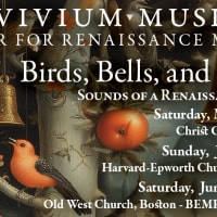Birds, Bells, and Battles: Sounds of a Renaissance World thumbnail