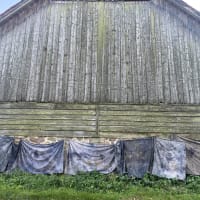 Show and Tell - a demonstration of natural dyeing techniques and sustainability practices in art and fashion with Asia Kepka thumbnail