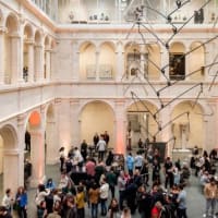 Harvard Art Museums at Night thumbnail